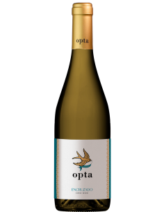 QUINTA DOM VICENTE BRANCO RESERVA 2021 750 ML |  | Garrafeira Genuína - Genuinamente apaixonados pelo Vinho